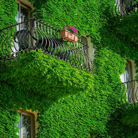 Hotel Caesar Palace Giardini Naxos