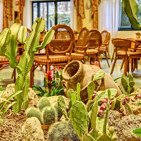 Caesar Palace מלון 4*