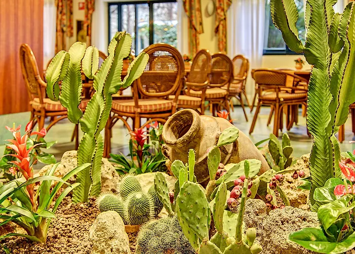 Caesar Palace Hotel 4*